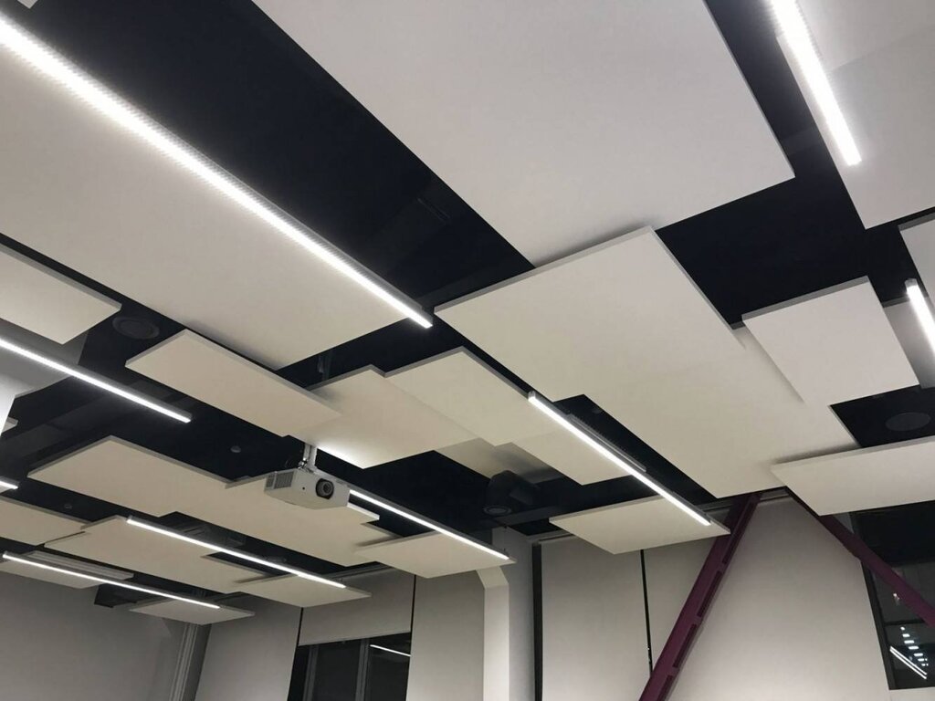 Ecophon acoustic ceiling