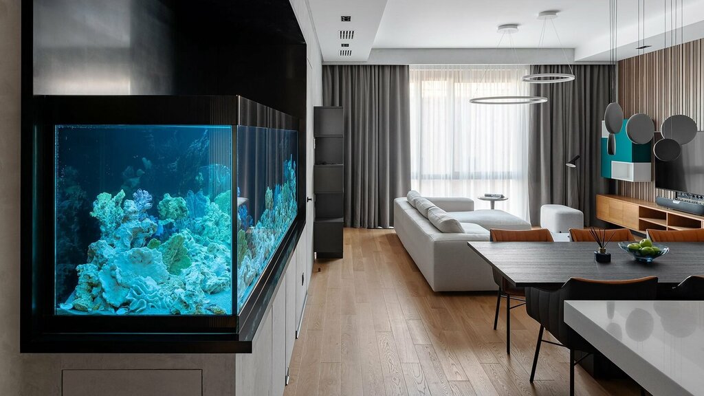 An aquarium in the kitchen