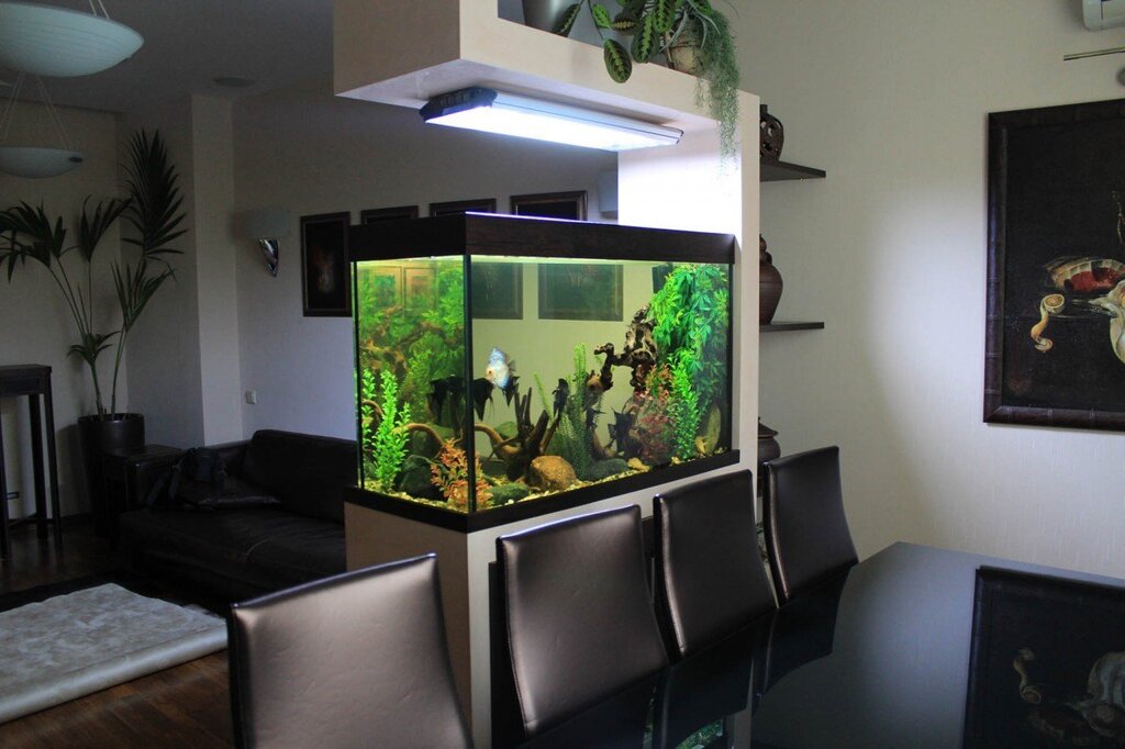 Aquarium partition