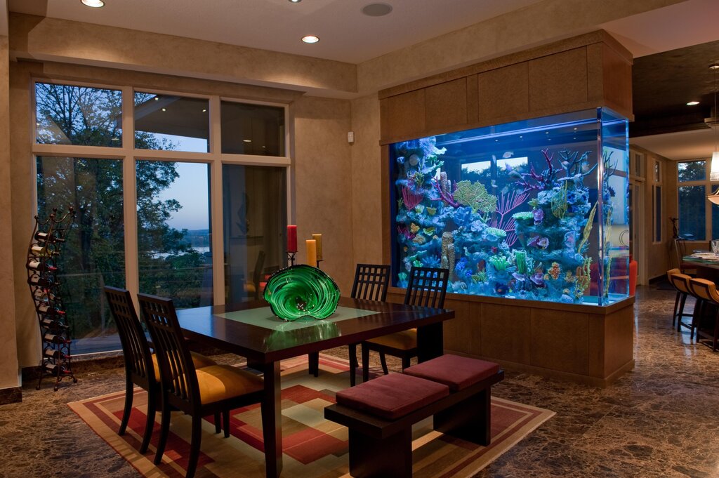 An aquarium in the kitchen interior