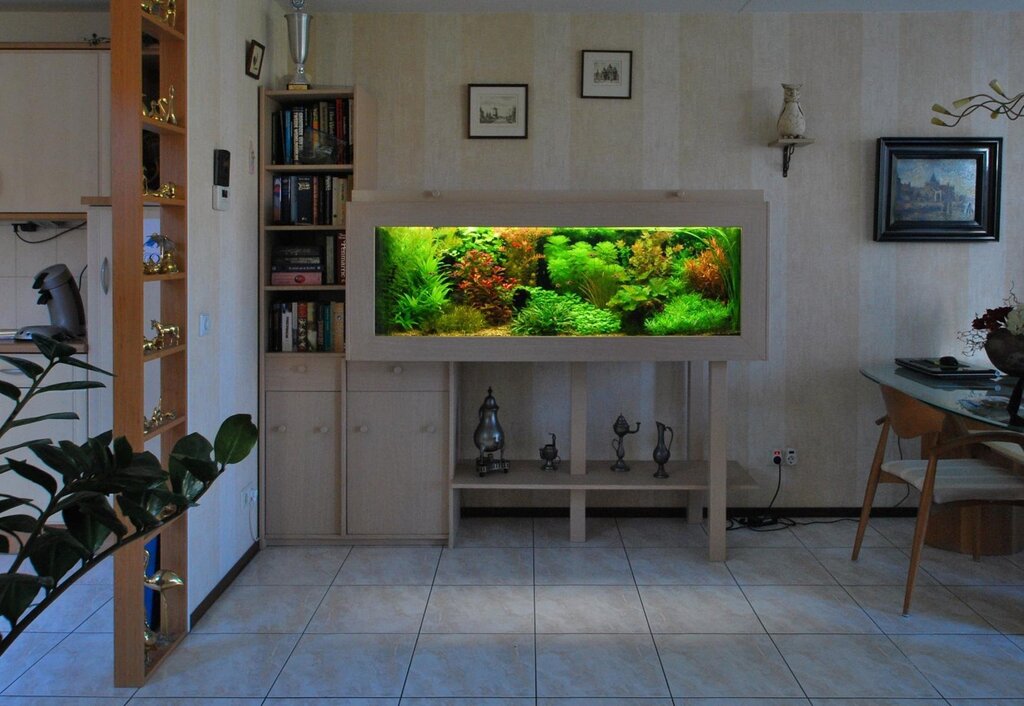 An aquarium in the apartment