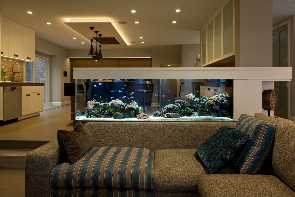 An aquarium in a zoning partition