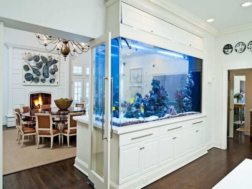 Aquarium in the cupboard