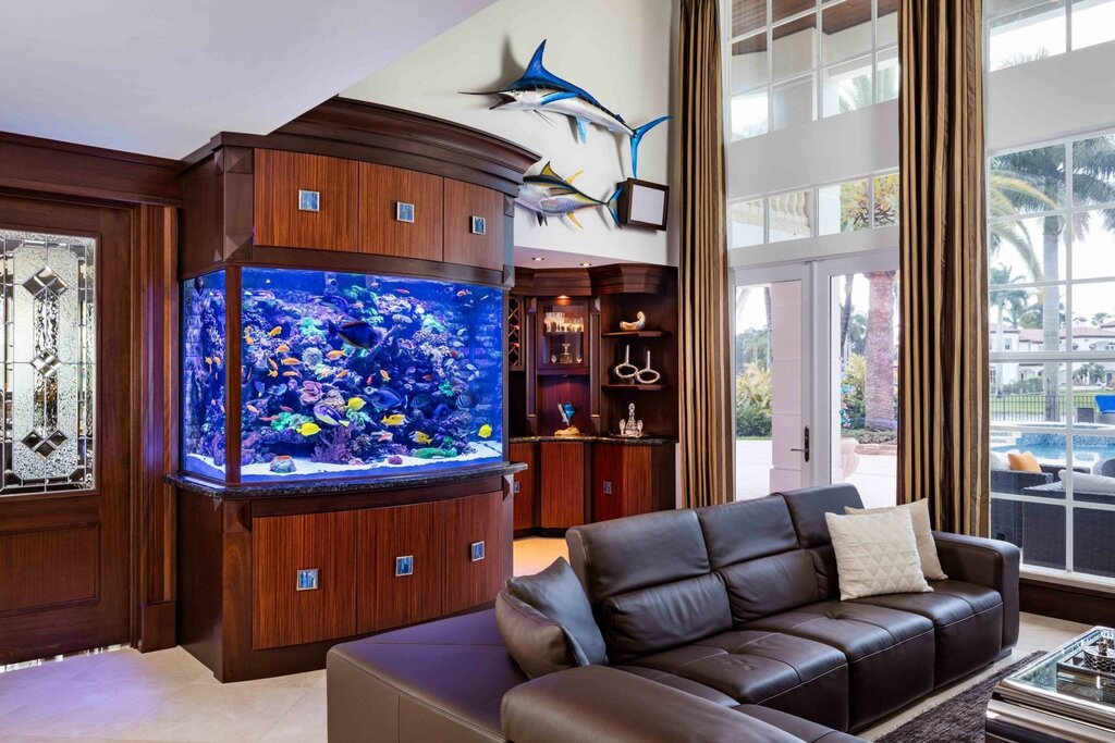 Aquarium in the wall