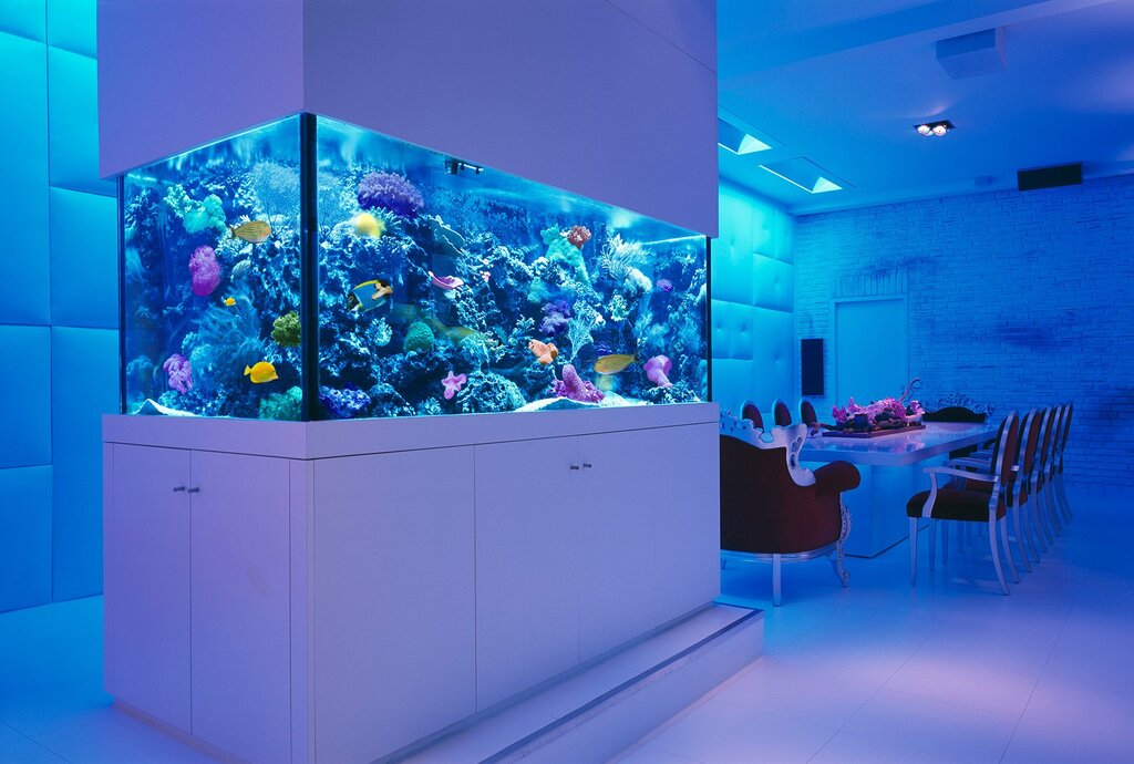 An aquarium in the bathroom