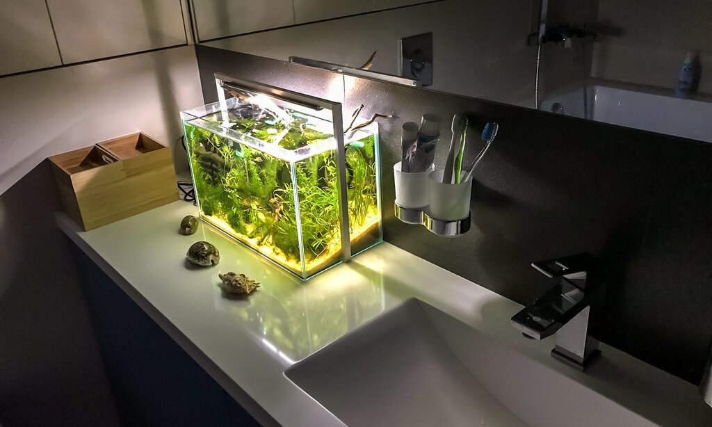 Aquarium in the bathroom