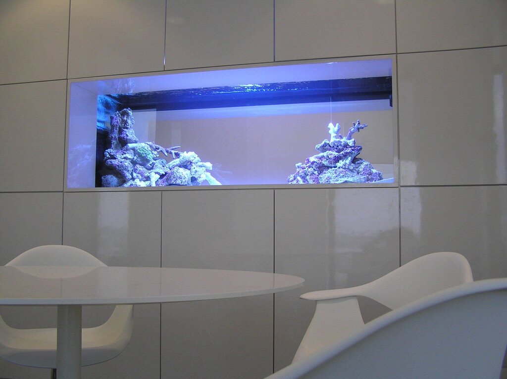 The aquarium is built into the wall