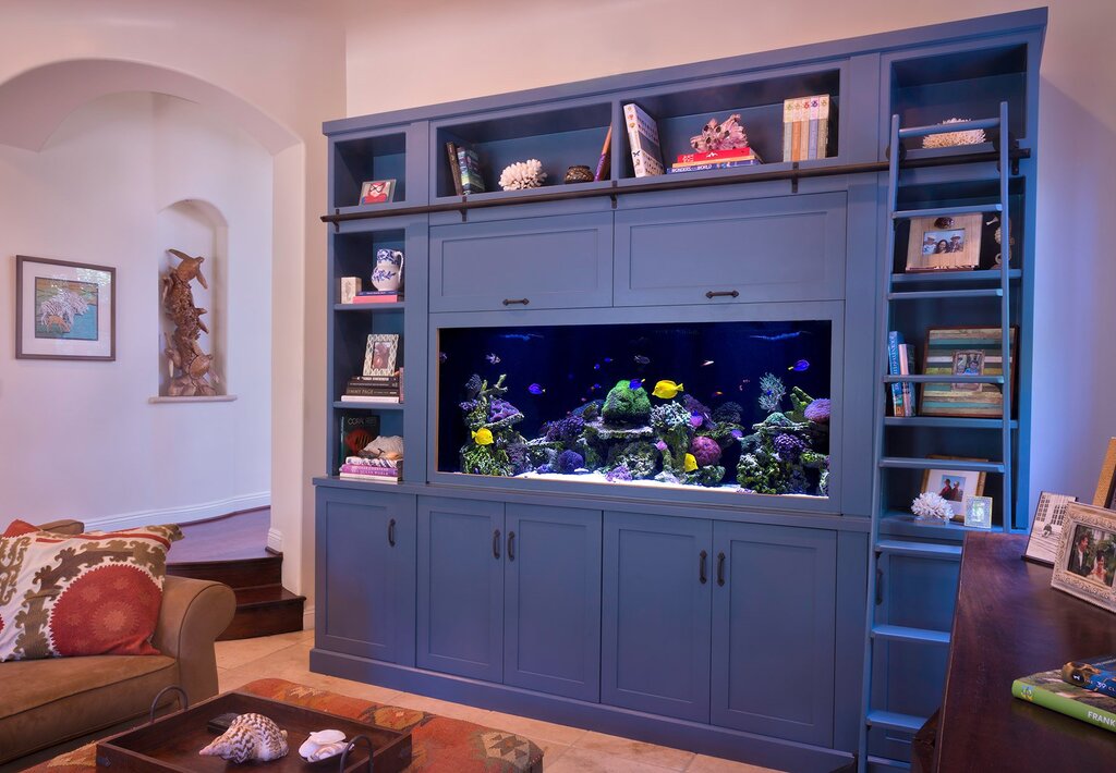 Aquariums built into the wall