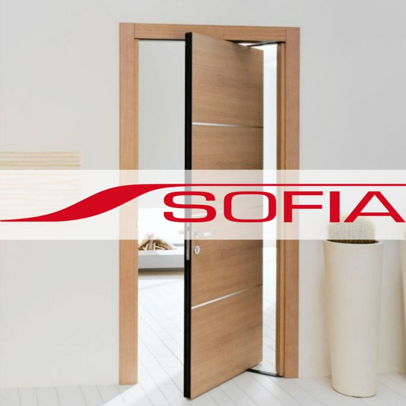 Analog of Sofia doors