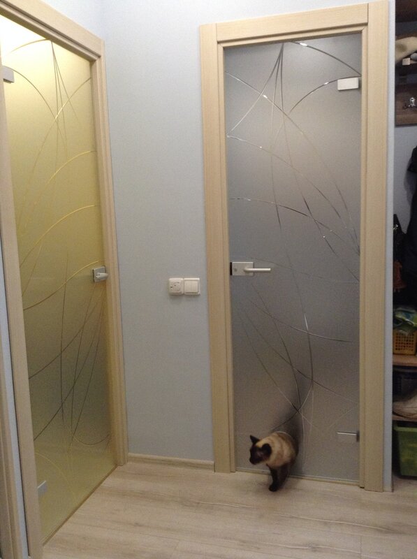 Anti-vandal interior doors for cats