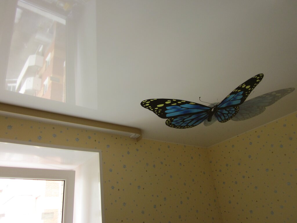 Butterflies on the ceiling