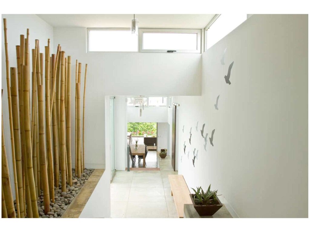 Bamboo for decoration