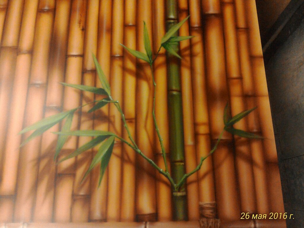 Bamboo straw on the wall