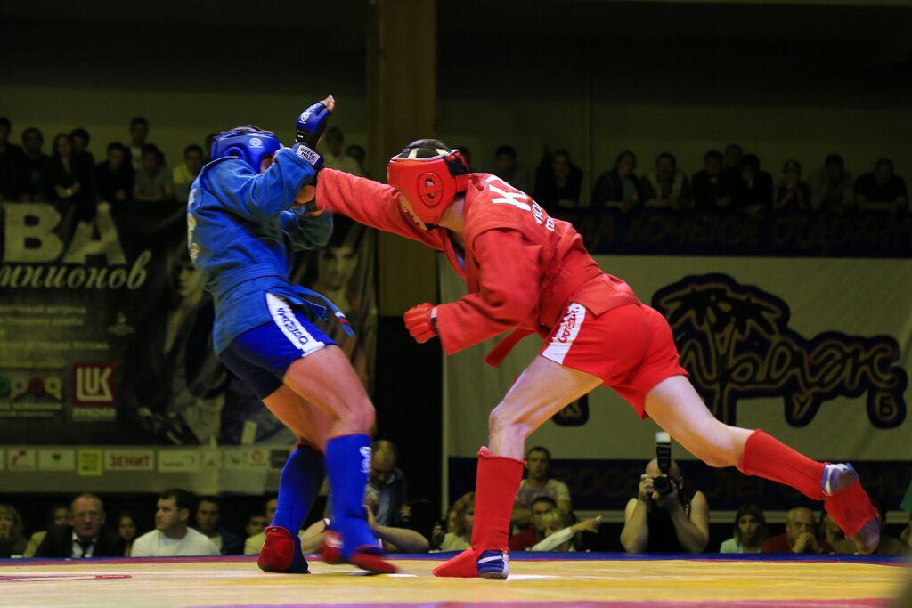 Combat sambo pictures