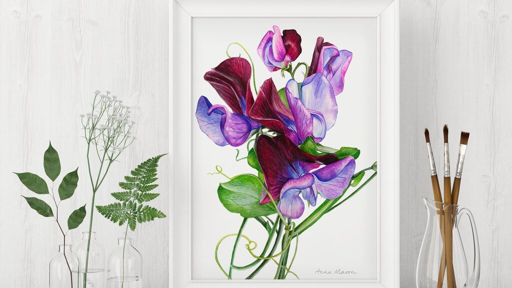 Botanical illustrations in the interior