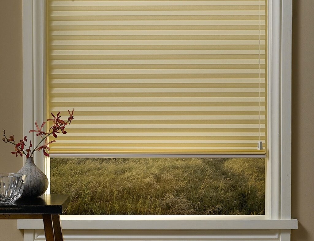 Pleated paper blinds