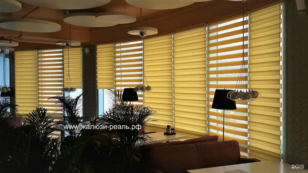 Paper blinds