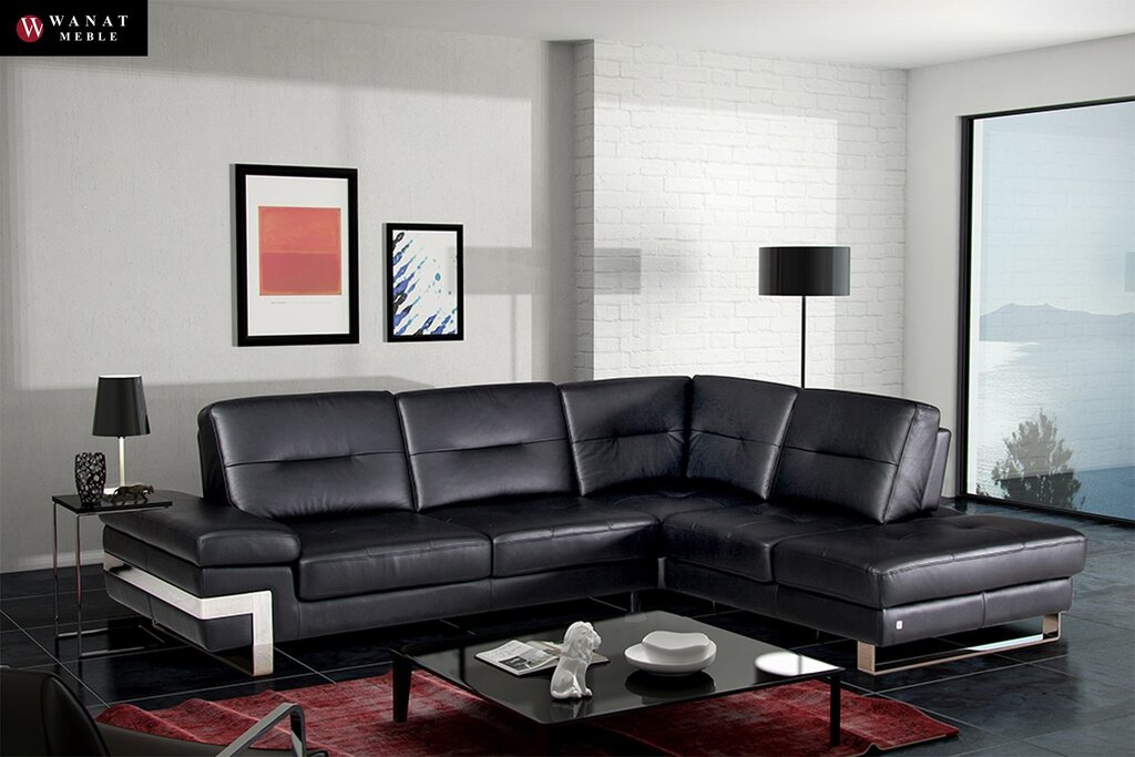 Black leather sofa