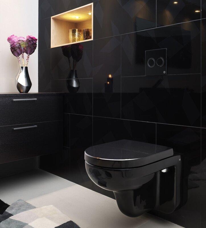 Black toilet in the interior