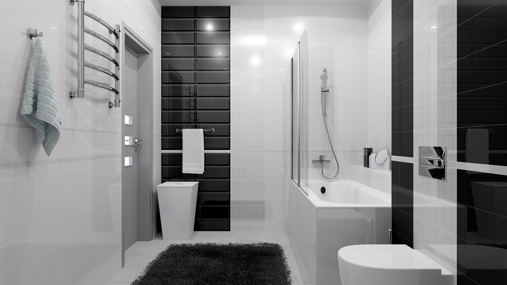 Black and white bathroom with a shower cabin