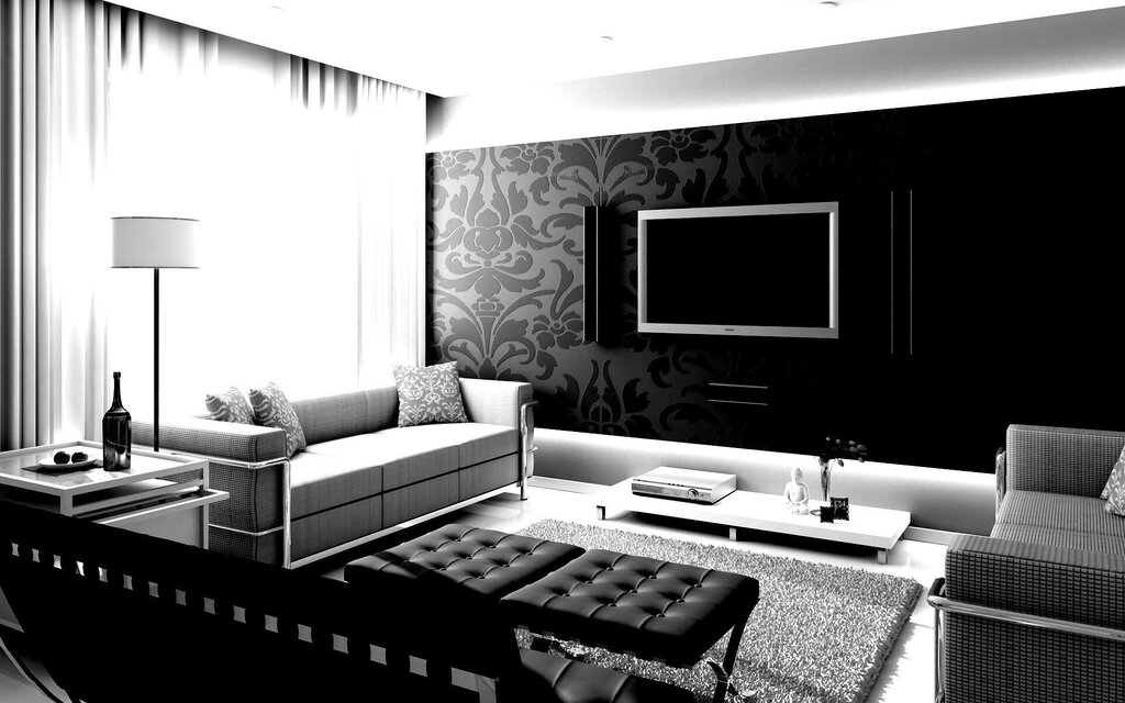 Black and white living room design