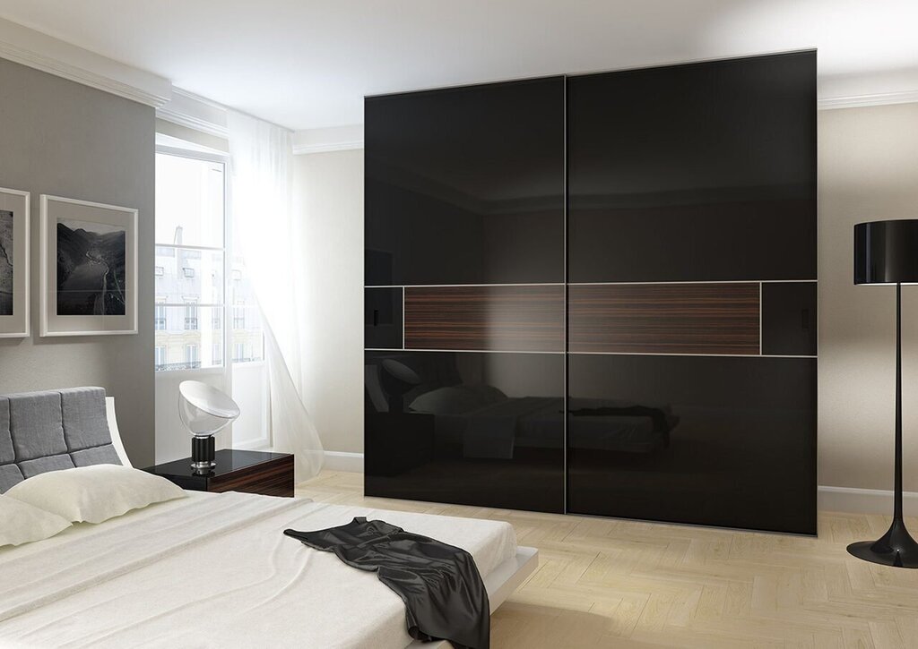 A black wardrobe in a modern interior