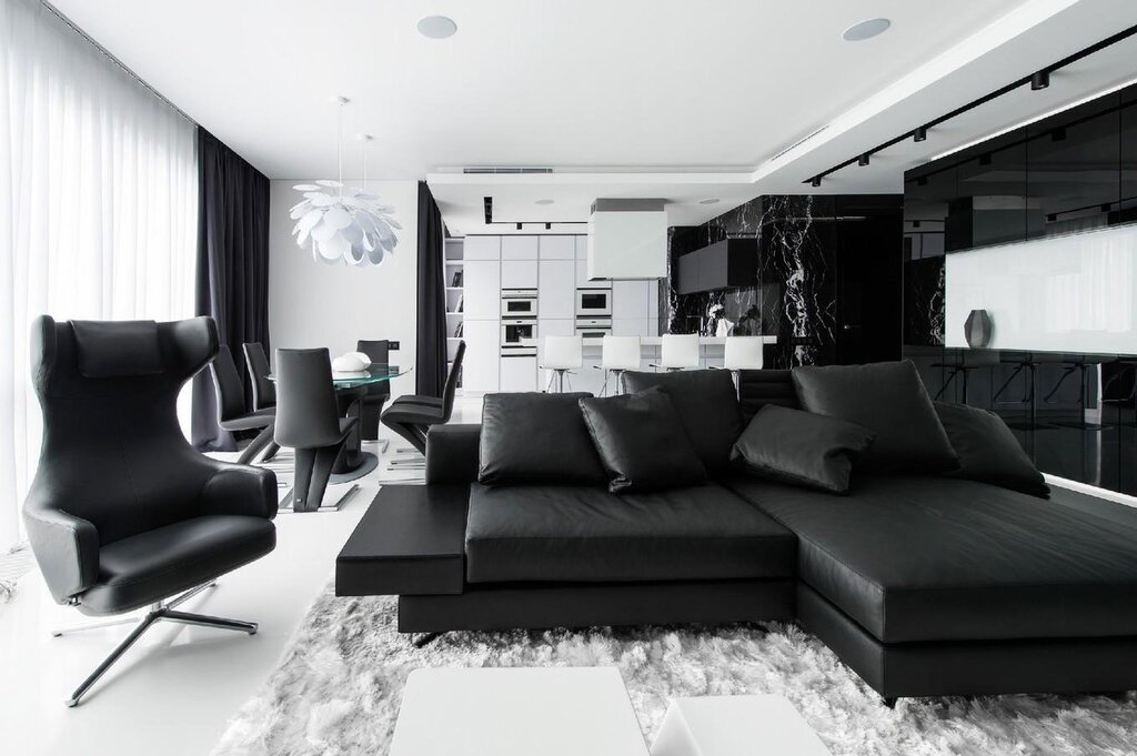 Black and white living room interior