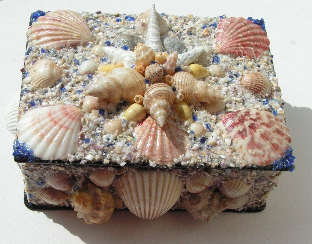 Shell decor