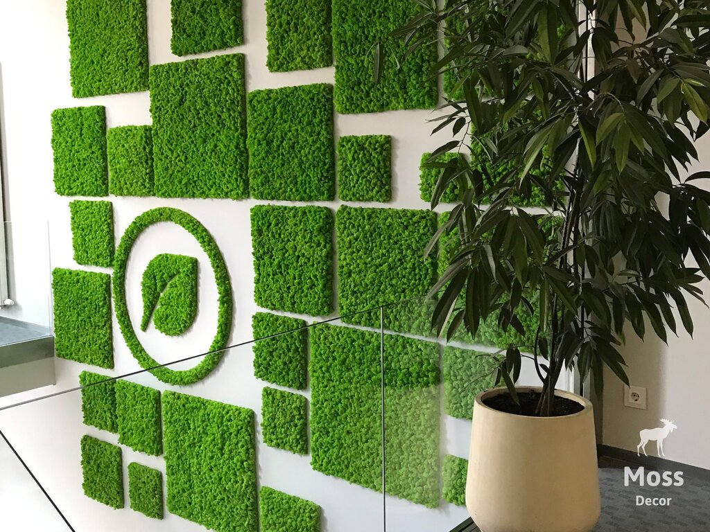 Wall decor made of greenery