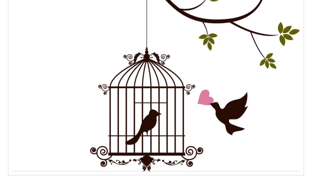 Decorative birdcage