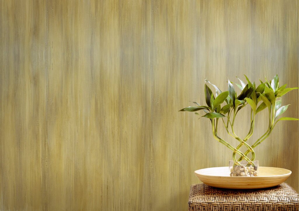 Decorative bamboo plaster