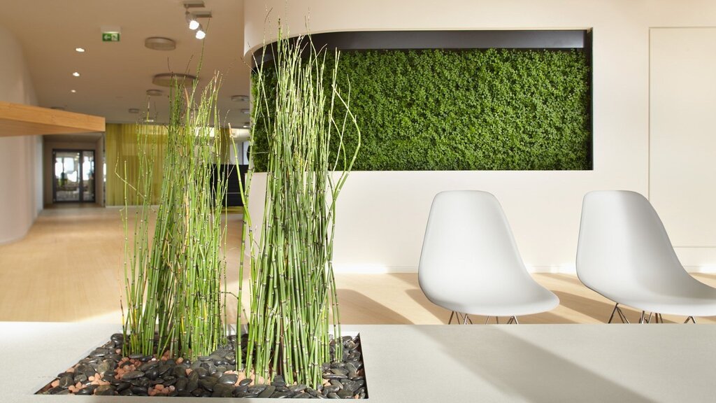 Decorative grass for interior