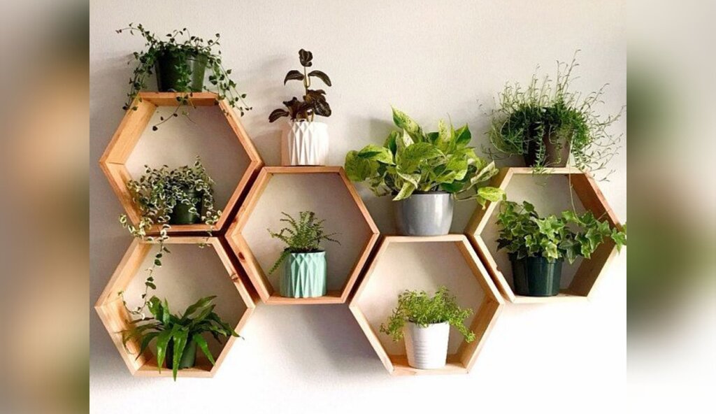 Decorative shelves for flowers