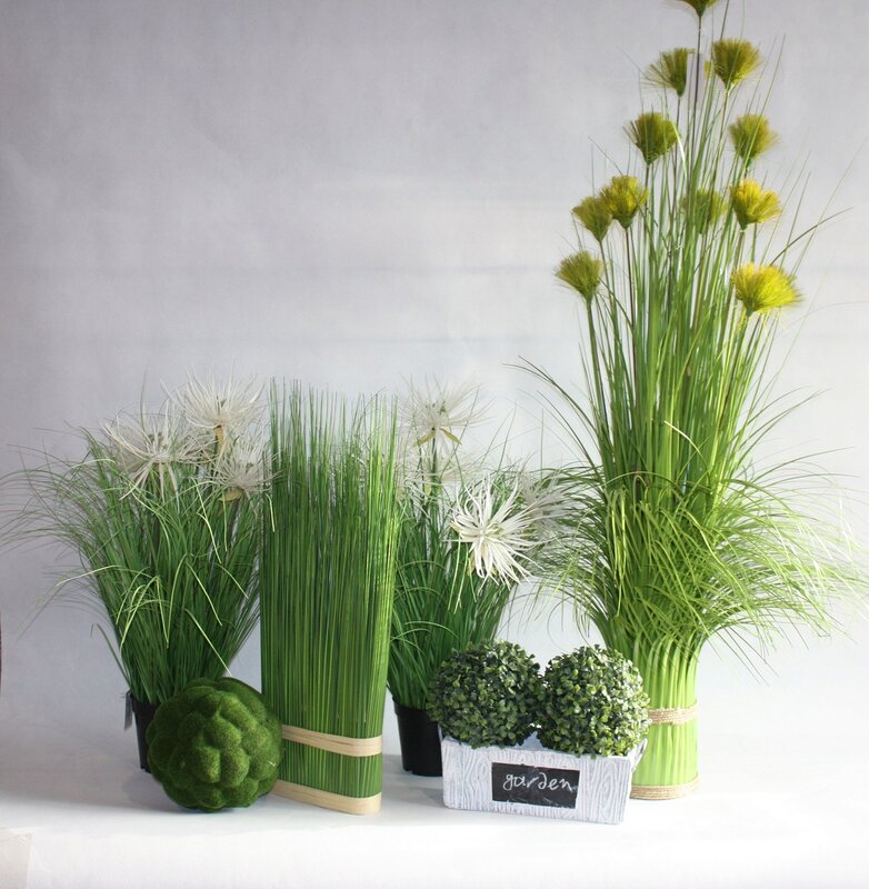 Decorative potted flowers for interior