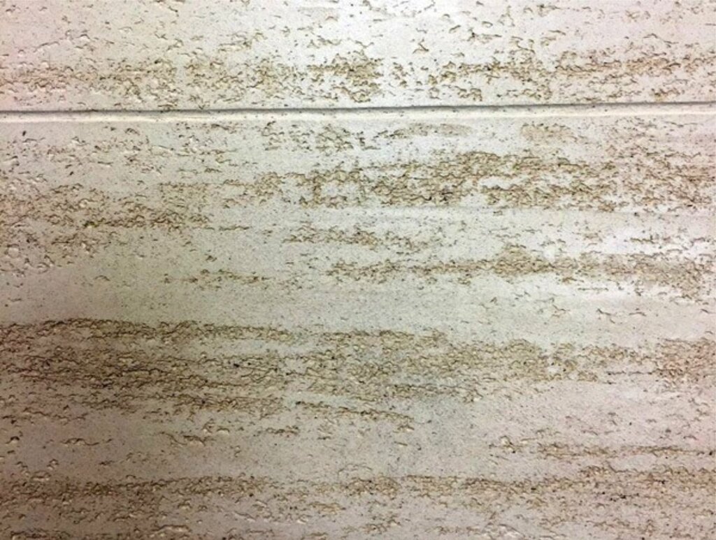 Decorative travertine coating