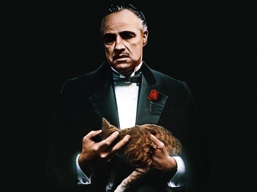 Don Corleone pictures