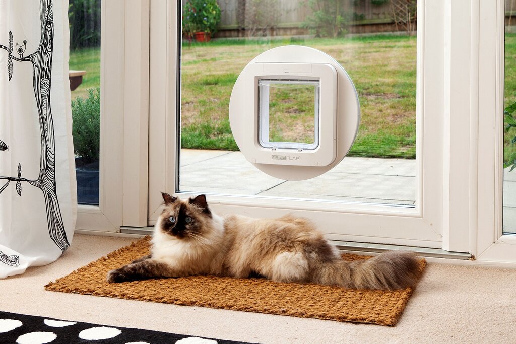 Cat door