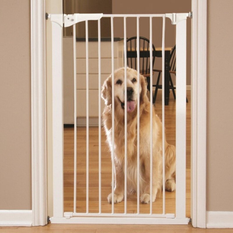 Dog door