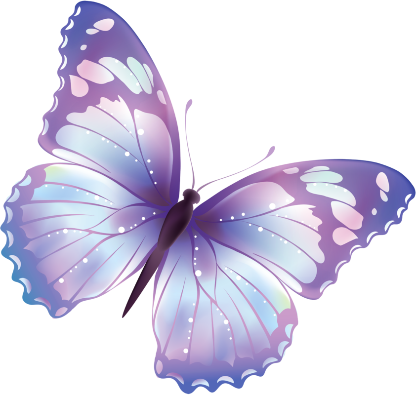 Purple butterfly pictures