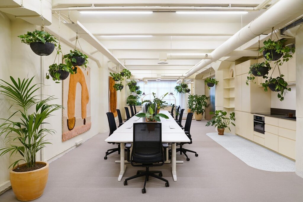 Office phytodesign