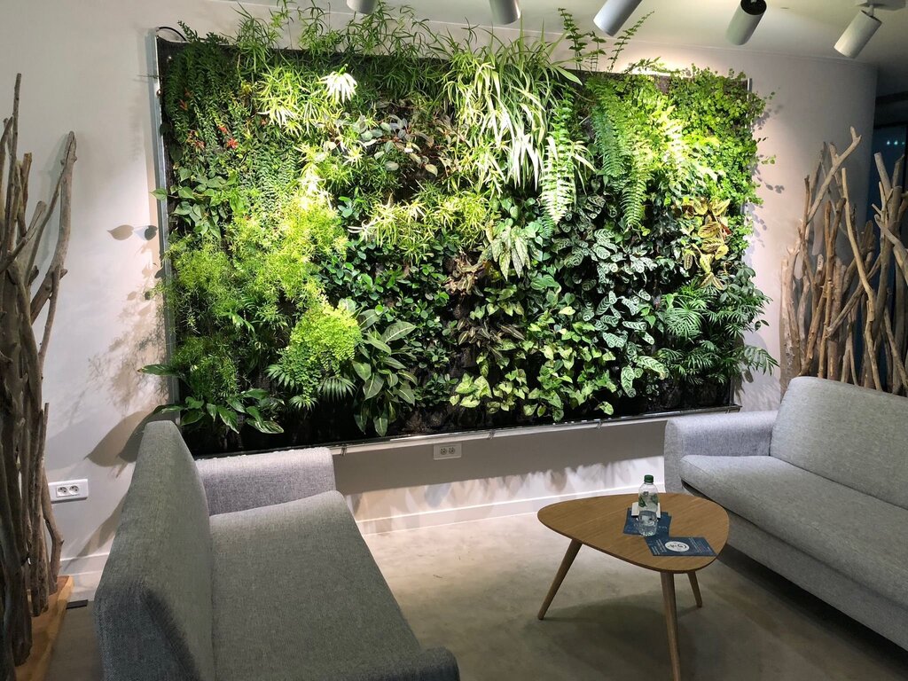 A phytowall in an apartment