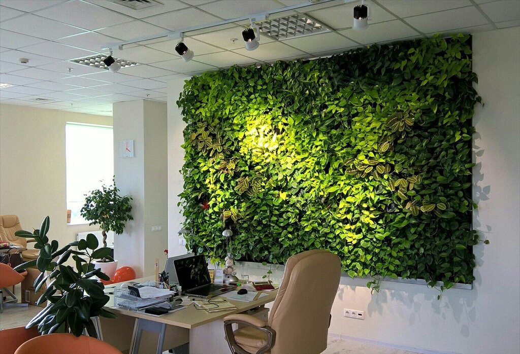 A phytowall in the office