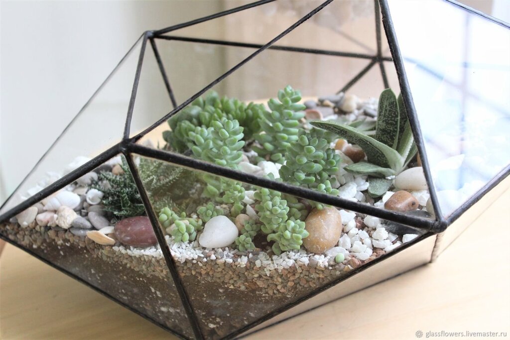 Wall terrarium