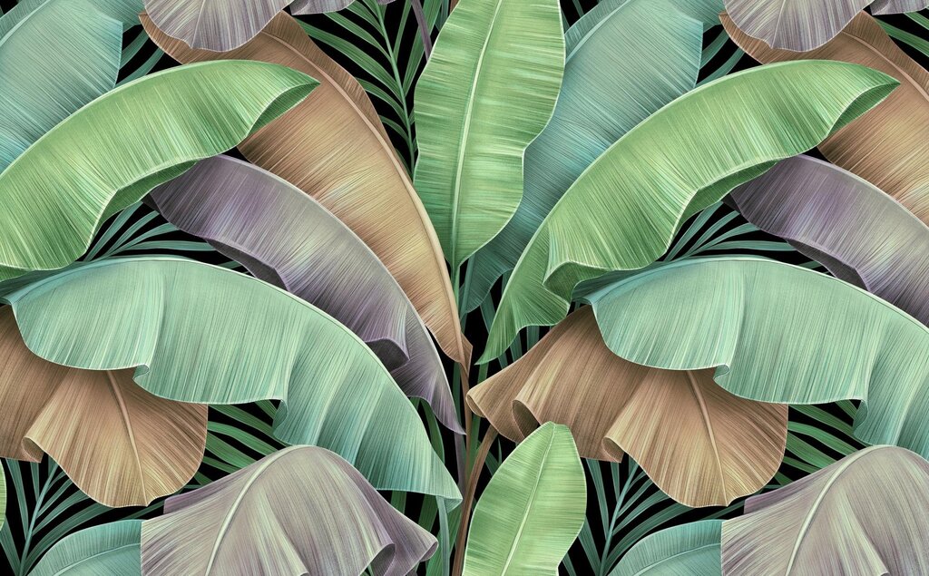 Photo wallpaper banana leaves