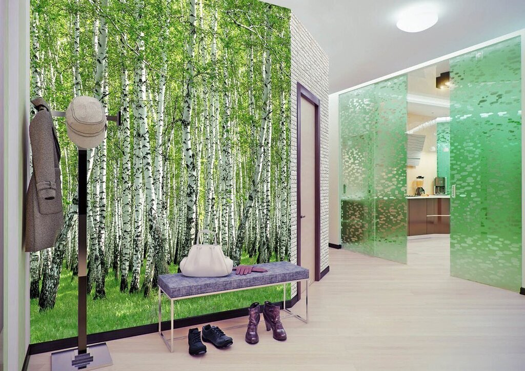 Photo wallpaper birch grove on the wall