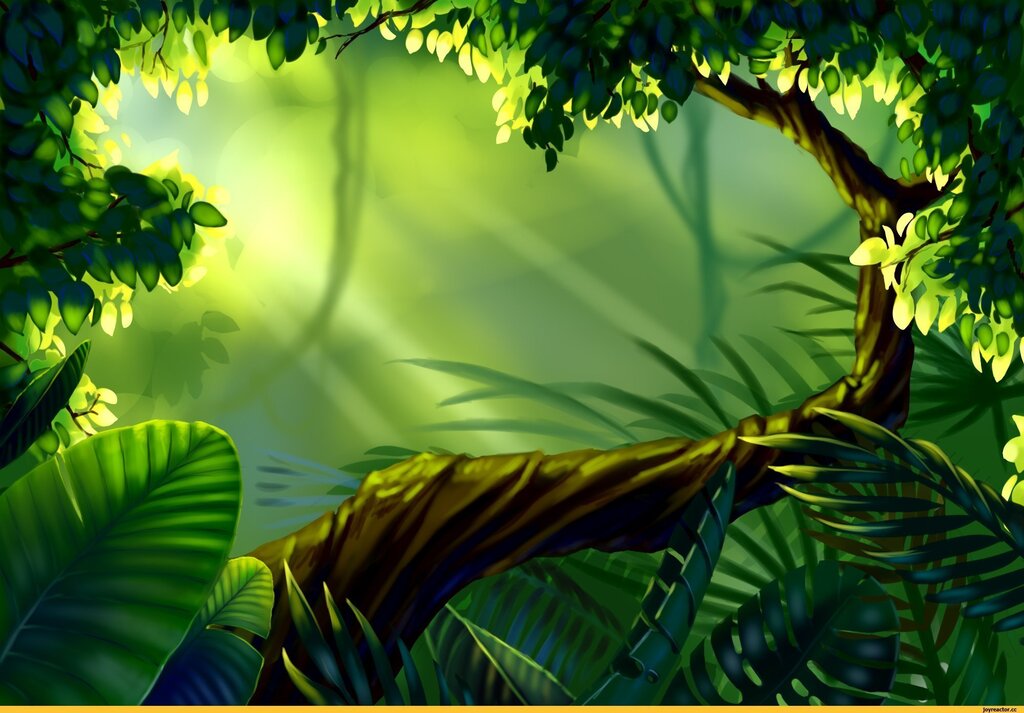 Photo wallpaper jungle