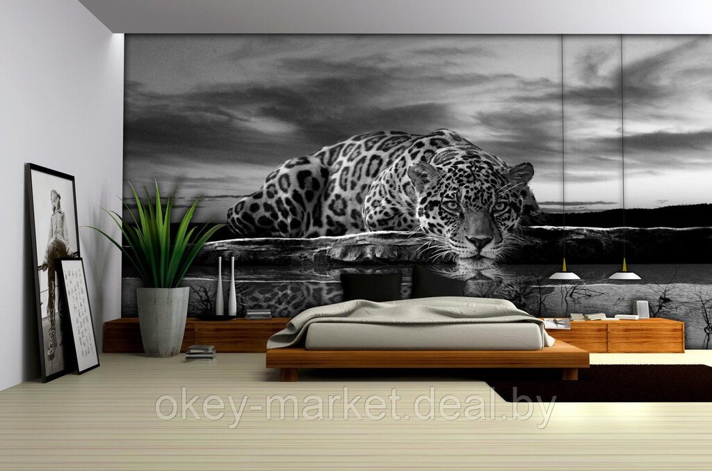 Wall murals cats