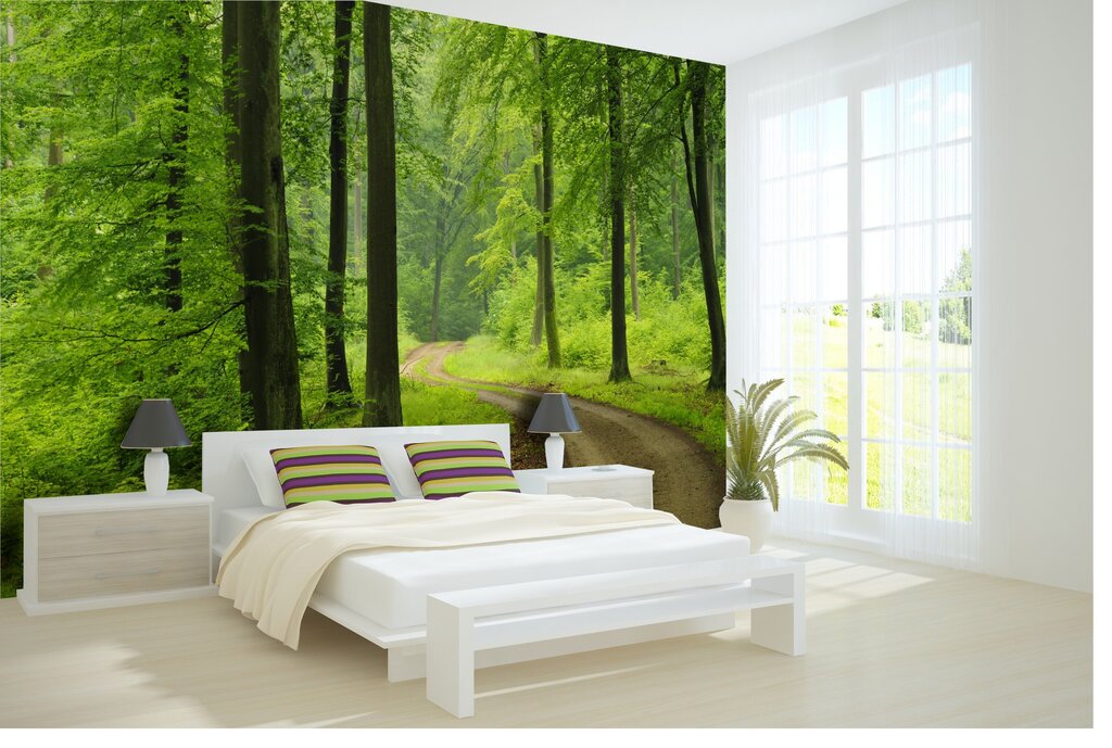 Photo wallpaper forest in the bedroom interior