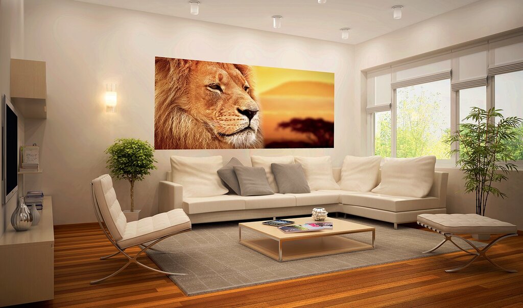 Photo wallpaper lion