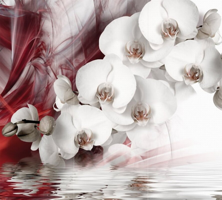 Photo wallpaper orchids